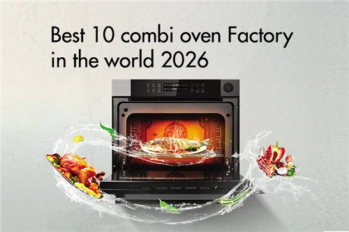 Best 10 combi oven Factory in the world 2026