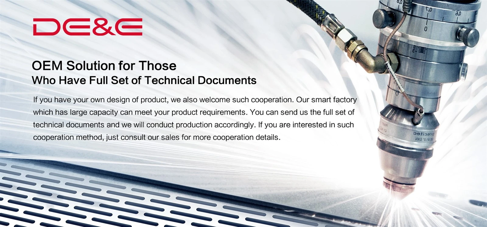 OEM Business OEM Business